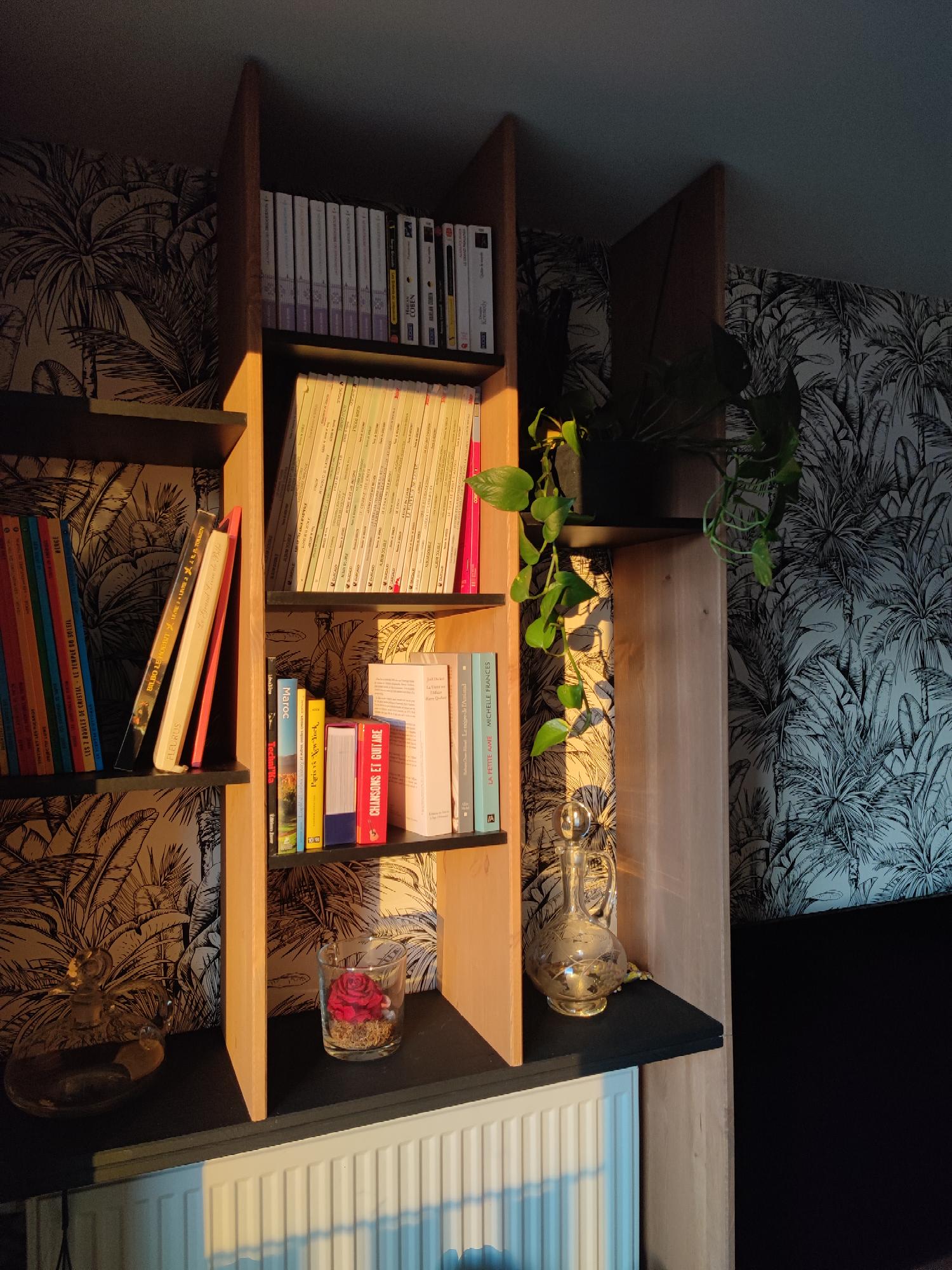 Étagères avec éclairage